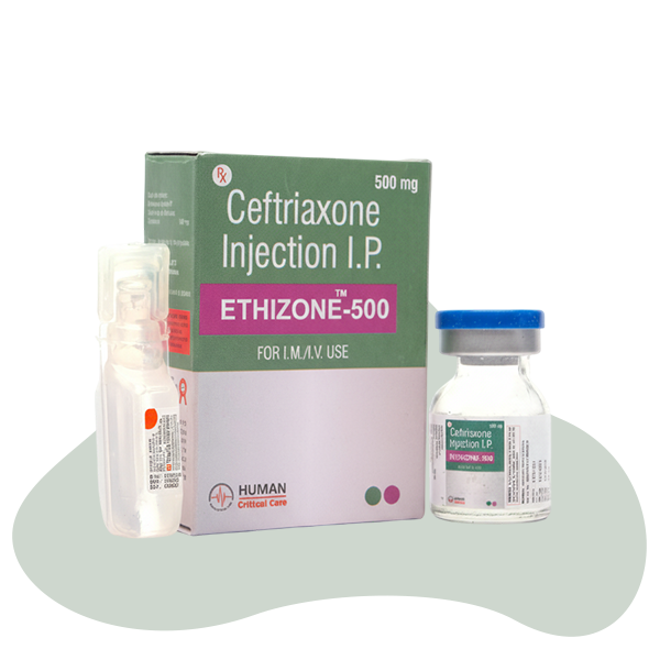 ETHIZONE 500 INJECTION