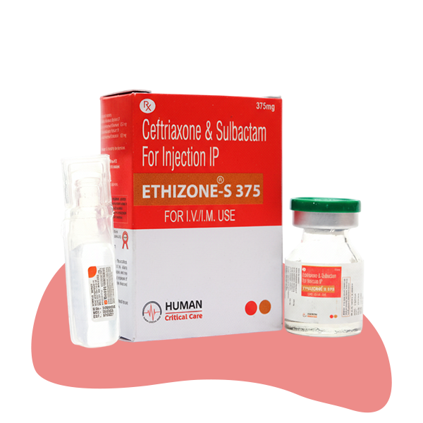 ETHIZONE S 375 INJECTION