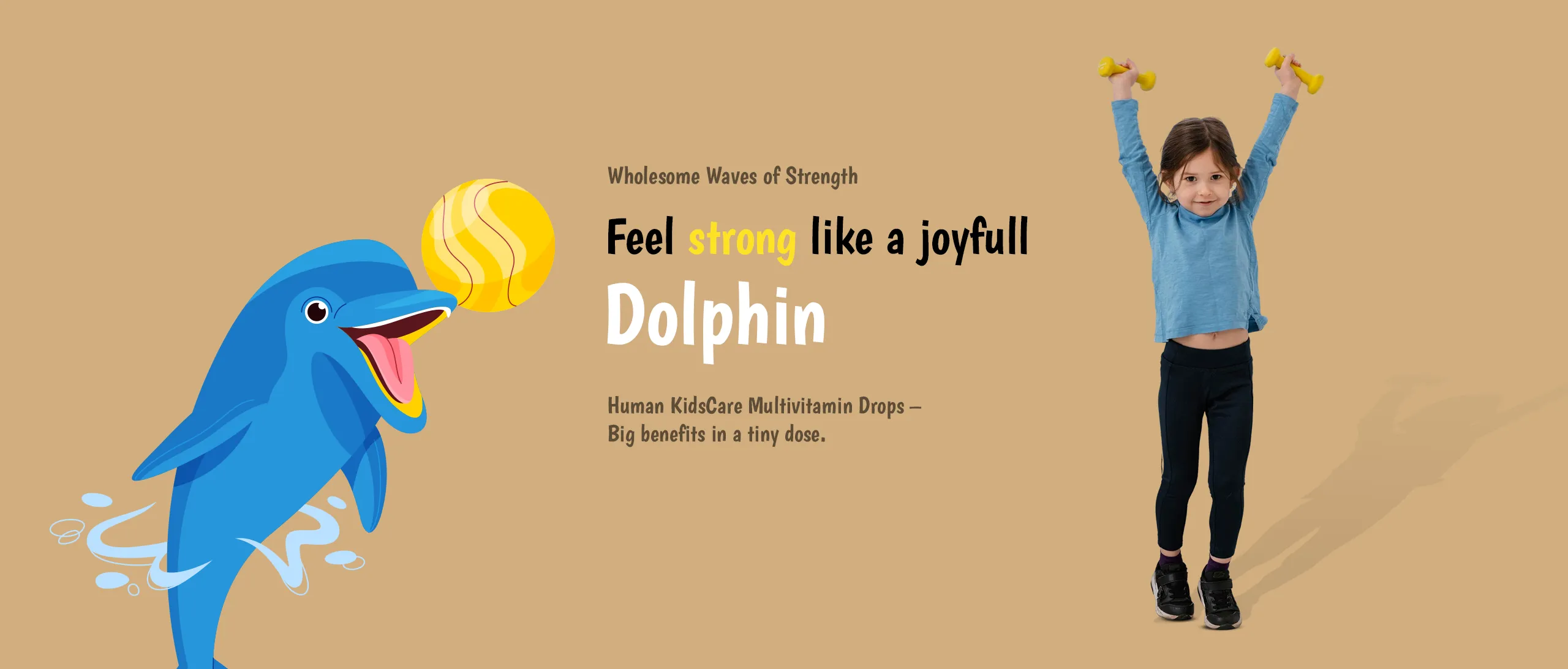 dolphin copy (1)