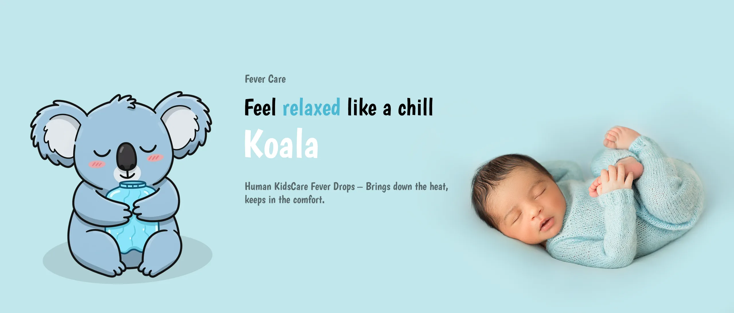 koala copy (1)